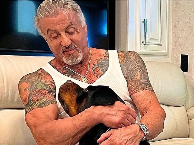 Sylvester Stallone and dog
