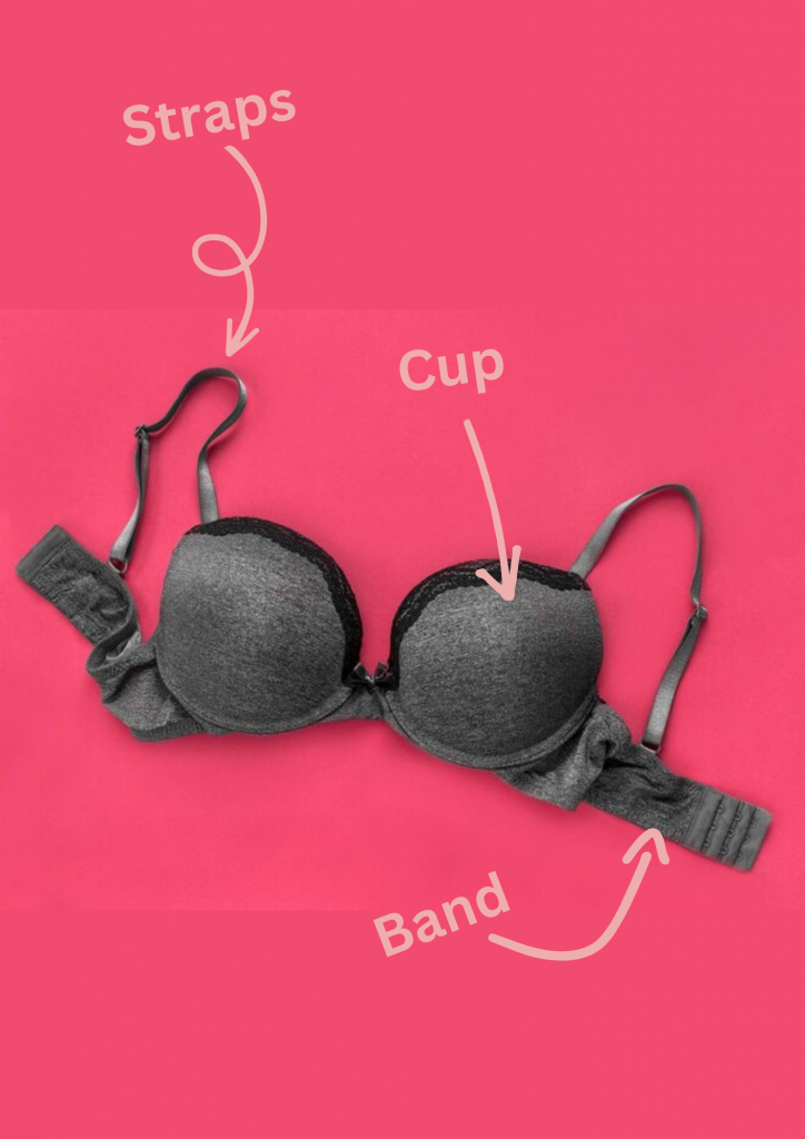 How To Check Your Own Bra Size By Yourself