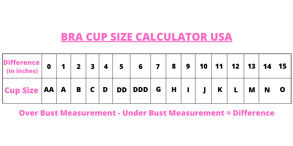 bra cup chart