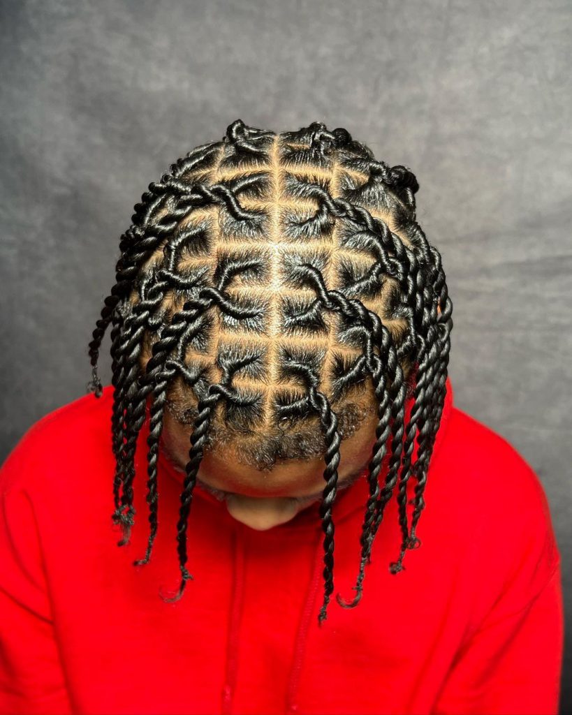 two strand twists Braids For Men