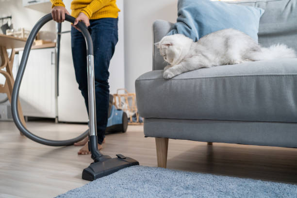 Do You Really Need a Pet Vacuum? - Best Vacuum Cleaners for Pet Hair