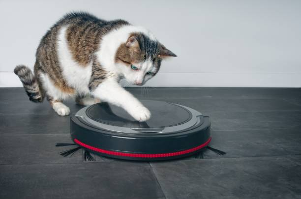 Top Vacuum Cleaners for Pet Hair - Best Vacuum Cleaners for Pet Hair